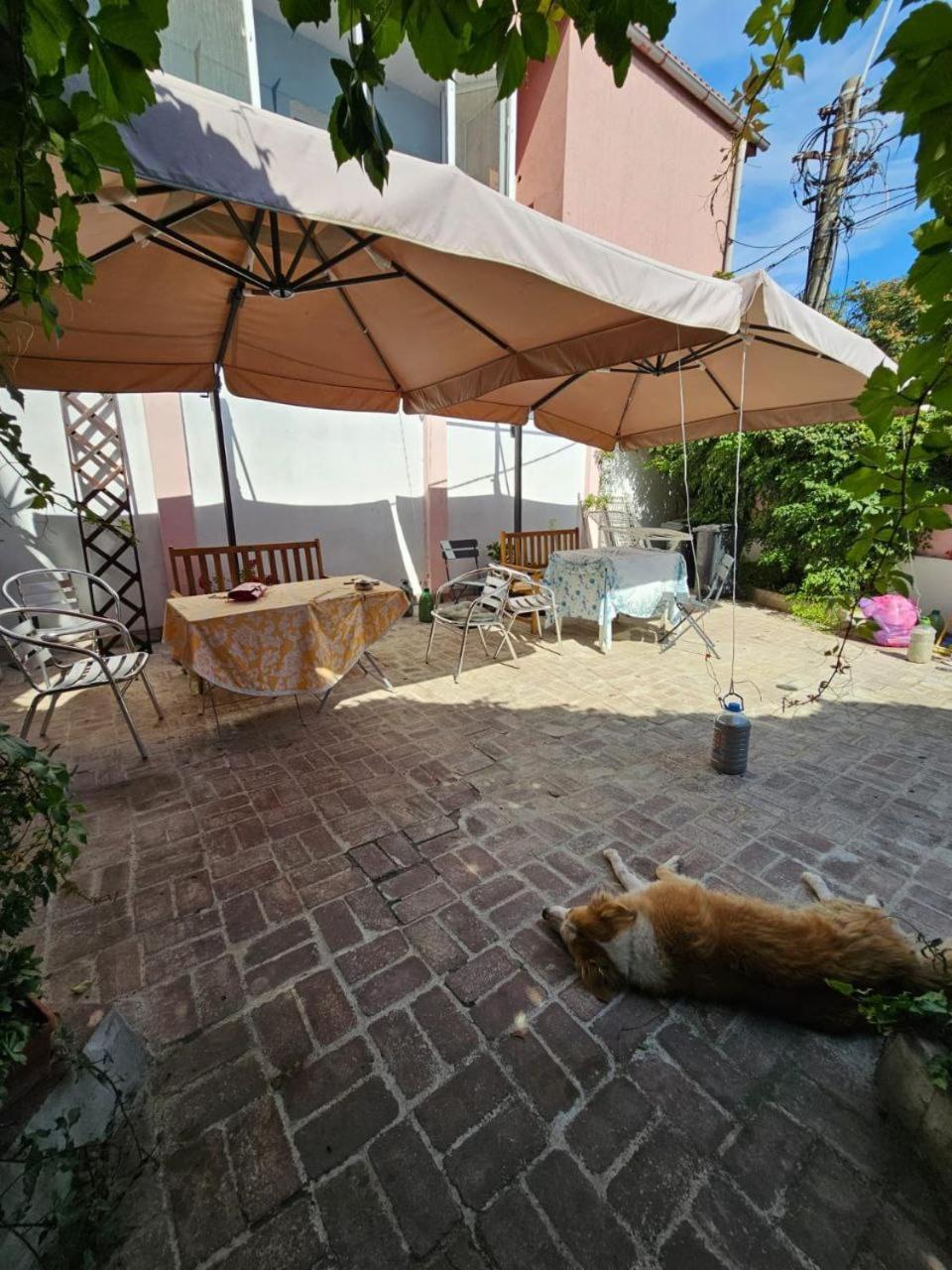 Vila Flavia B&B Констанца Екстер'єр фото